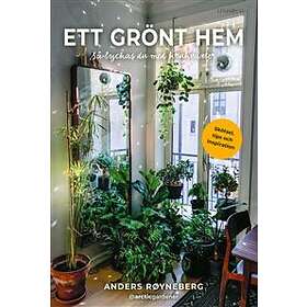 Ett Grönt Hem Så Lyckas Du Med Krukväxter