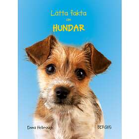 Lätta Fakta Om Hundar