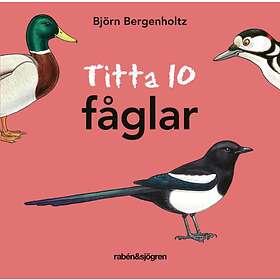 Titta 10 Fåglar