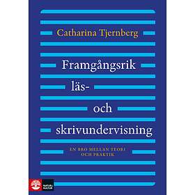 Framgångsrik Läs- Och Skrivundervisning En Bro Mellan Teori Praktik