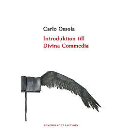 Introduktion Till Divina Commedia