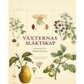 Växternas Släktskap Genealogi För Trädgårdsälskare