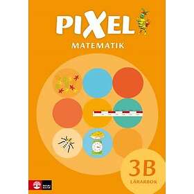 Pixel 3b Lärarbok, Andra Upplagan