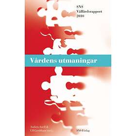 Vårdens Utmaningar