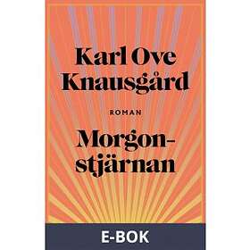 Morgonstjärnan (E-bok)