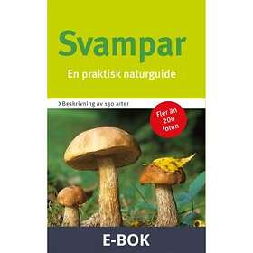 Svampar : en praktisk naturguide (E-bok)