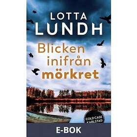 Blicken inifrån mörkret (E-bok)