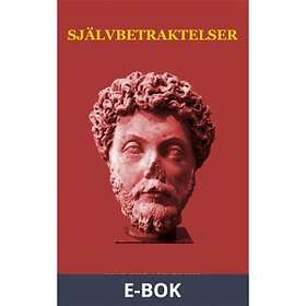 Utsigten Självbetraktelser (E-bok)