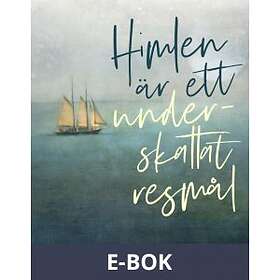 Himlen är ett underskattat resmål (E-bok)