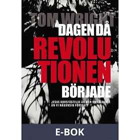 Dagen då revolutionen började (E-bok)