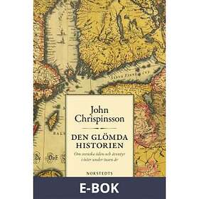 Den glömda historien (E-bok)