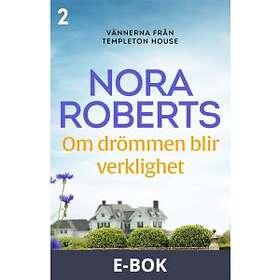 Om drömmen blir verklighet (E-bok)