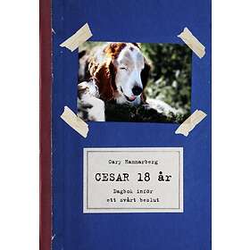 Midas Cesar 18 år : dagbok inför ett svårt beslut