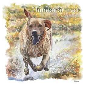 Votum & Hundar är livet