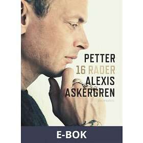 16 rader, (E-bok)