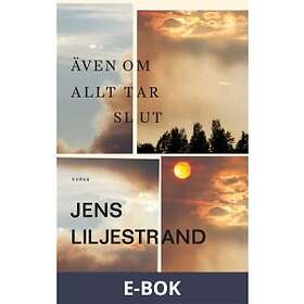 Även om allt tar slut (E-bok)