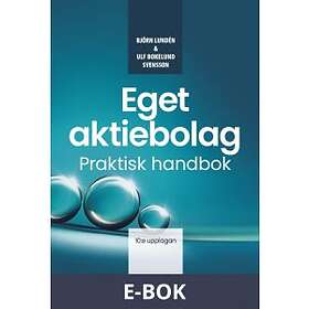 Björn Lundén Eget aktiebolag (E-bok)