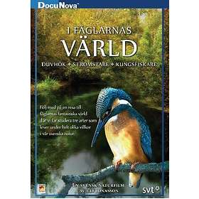 I Fåglarnas Värld (DVD)
