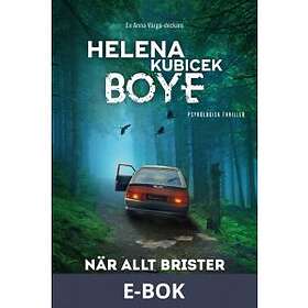 När allt brister, (E-bok)
