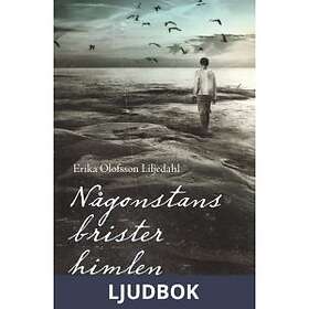 Historiska Media Någonstans Brister Himlen, Ljudbok - Hitta Bästa Pris ...