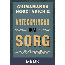 Anteckningar om sorg (E-bok)