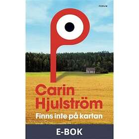 Finns inte på kartan (E-bok)