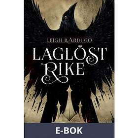 Laglöst rike (E-bok)