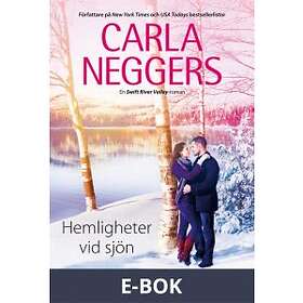 Hemligheter vid sjön (E-bok)