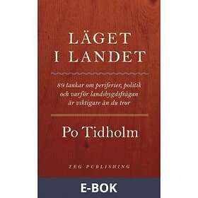Teg Publishing Läget i landet (E-bok)