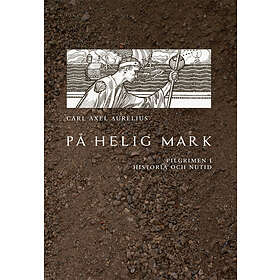 På helig mark : pilgrimen i historia och nutid