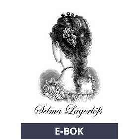 Selma Lagerlöfs dagbok (E-bok)