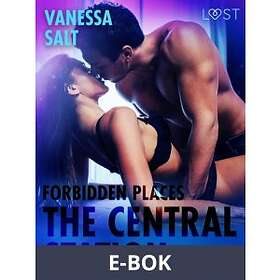 LUST Forbidden Places: The Central Station Erotic Short Story, (E-bok)