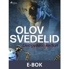 Den gyllene kedjan (E-bok)