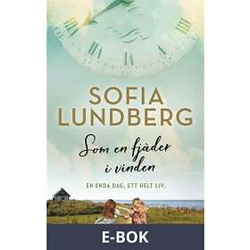 Som en fjäder i vinden (E-bok)