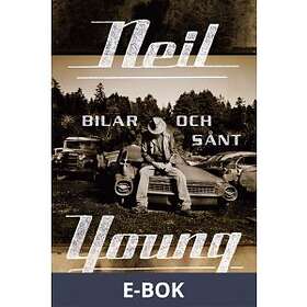 Bilar och sånt (E-bok)