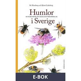E-böcker