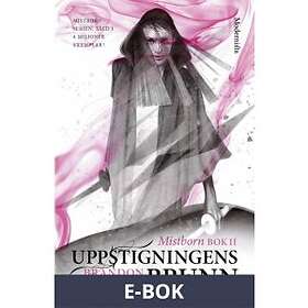 Modernista Mistborn. Uppstigningens brunn. Del 2 (E-bok)