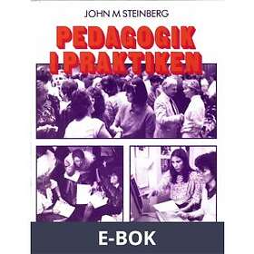 Pedagogik i praktiken, (E-bok)