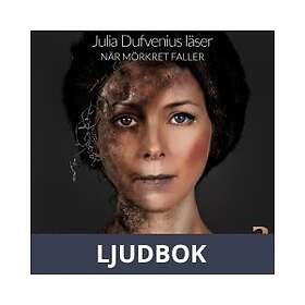 Storyside När mörkret faller, Ljudbok