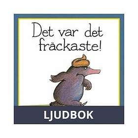 Storyside Det var det fräckaste!, Ljudbok