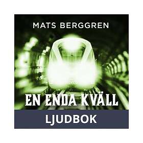 En enda kväll, Ljudbok