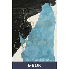 Ersatz Brevboken (E-bok)