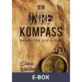 Din inre kompass (E-bok)