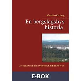 En bergslagsbys historia: Vintermossen från svedjebruk