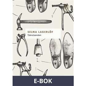 Novellix Tjänsteanden, (E-bok)