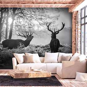Arkiio Fototapet Deers In The Morning in the 400x280