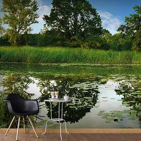 Arkiio Fototapet Självhäftande The Magic Pond II 490x280 fototapet