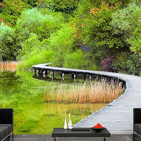 Arkiio Fototapet Självhäftande Beautiful Green fototapet green 147x1