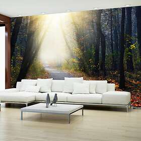 Arkiio Fototapet Road Through The Forest through the 100x70