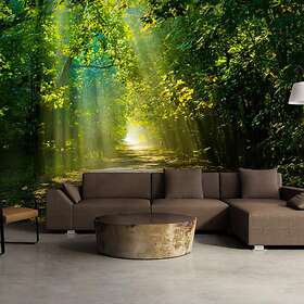 Arkiio Fototapet Road In Sunlight in 150x105